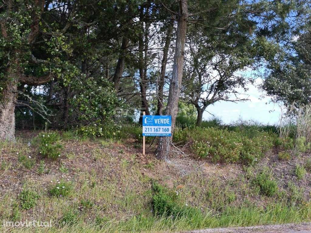 Terreno Rústico com Potencial Agrícola - Tranquilidade e Envolvênci... - Grande imagem: 2/14