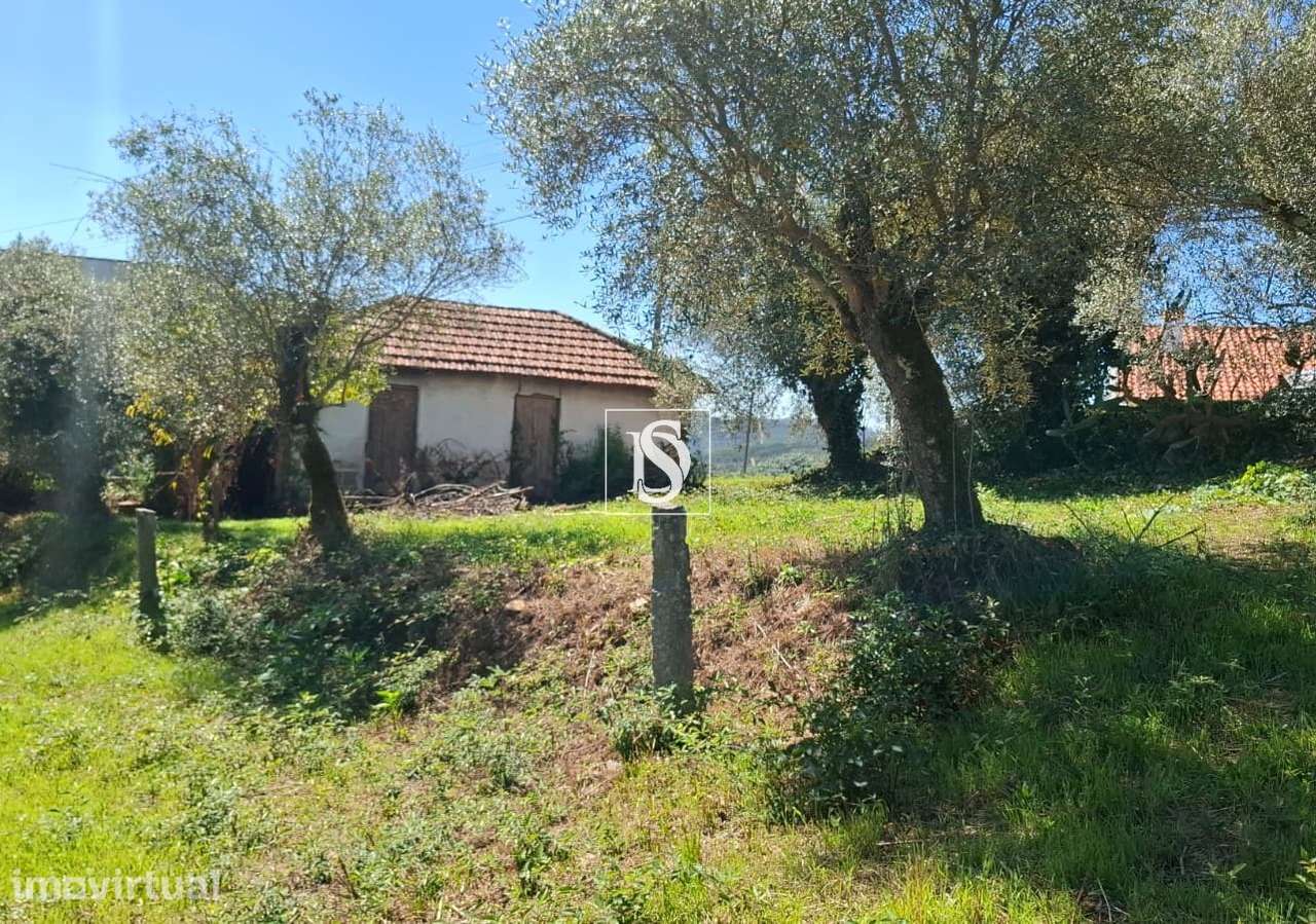 Moradia para Restaurar T2 Venda em Vila Garcia, Aboim e Chapa,Amarante - Grande imagem: 4/33