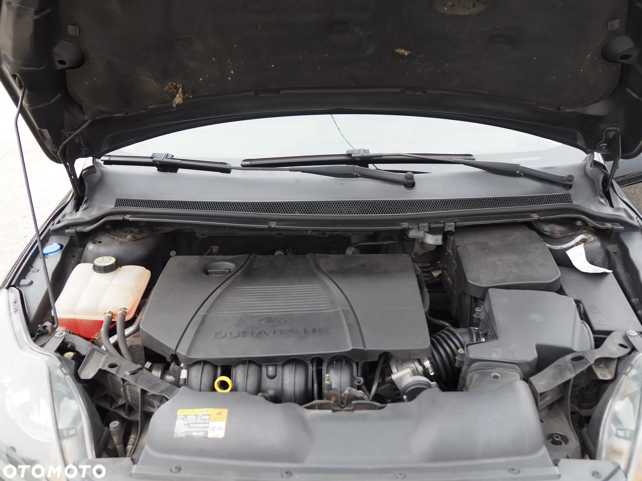 Ford Focus - 31