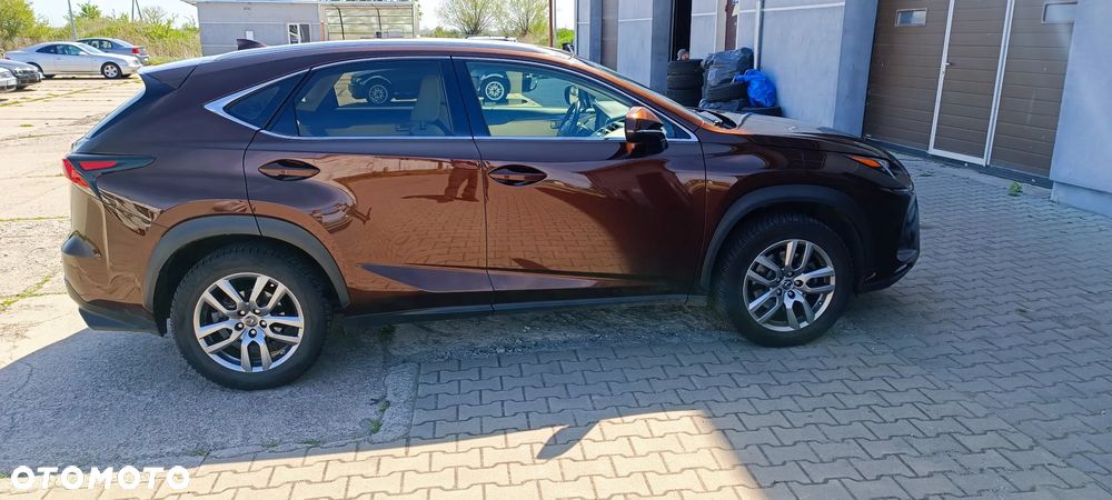 Lexus NX 300 Elegance AWD - 3