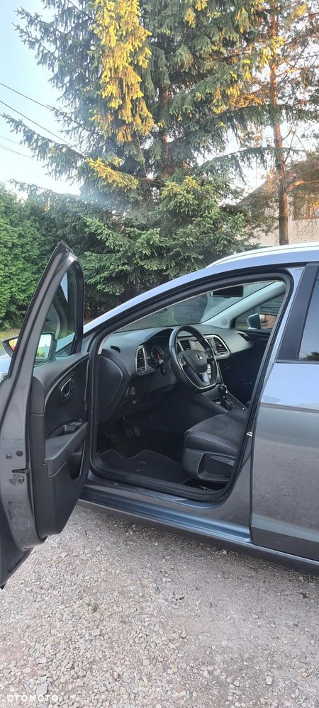 Seat Leon - 17