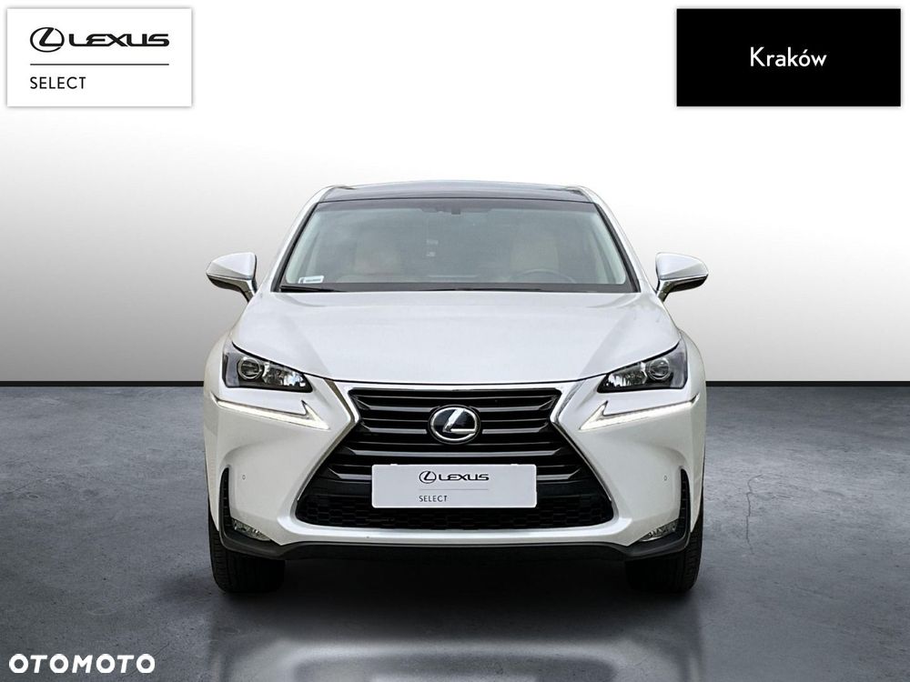Lexus NX 300h Comfort AWD - 8