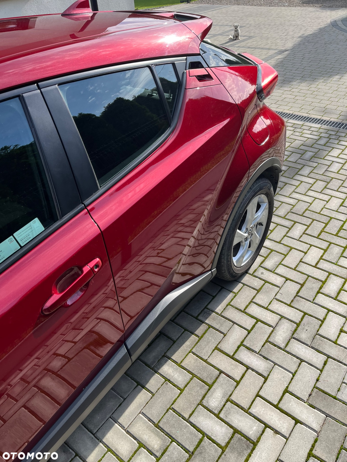Toyota C-HR 1.8 Hybrid Dynamic - 8