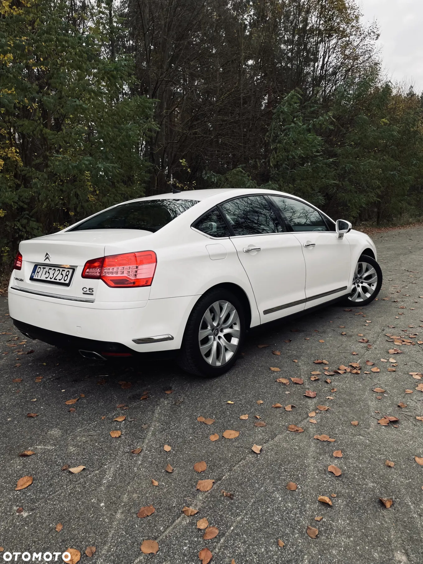 Citroën C5 3.0 HDi V6 Exclusive - 3