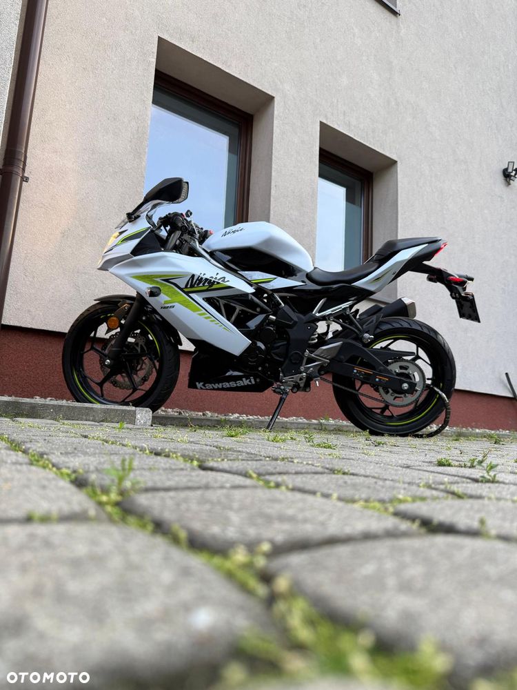 Kawasaki Ninja - 1