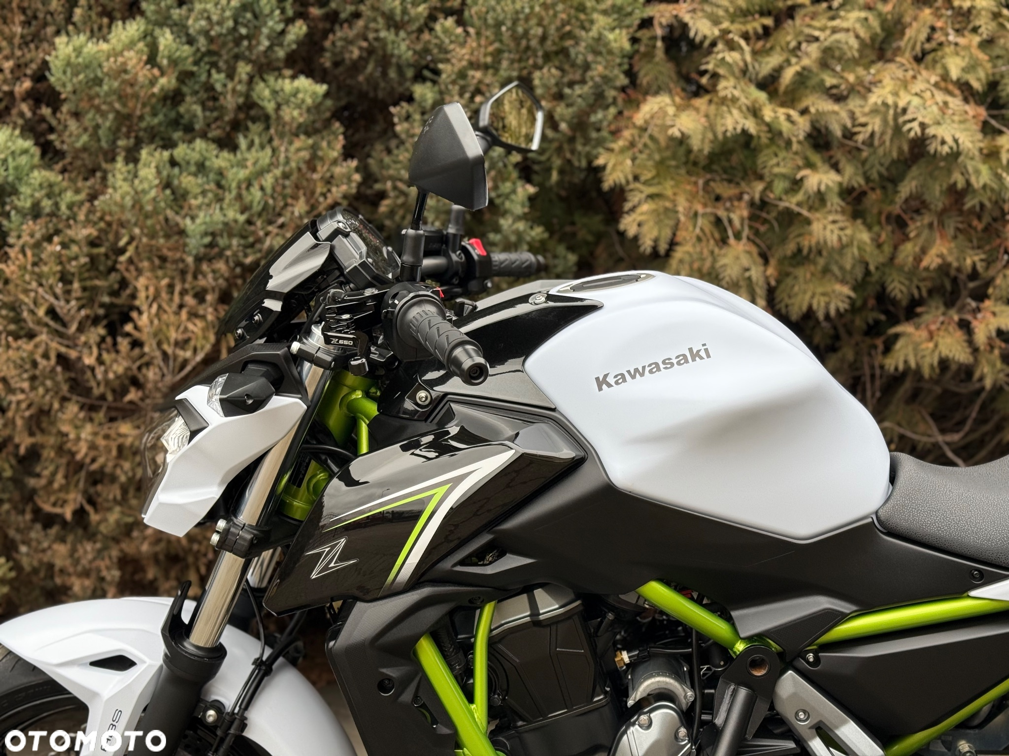 Kawasaki Z 650 - 28