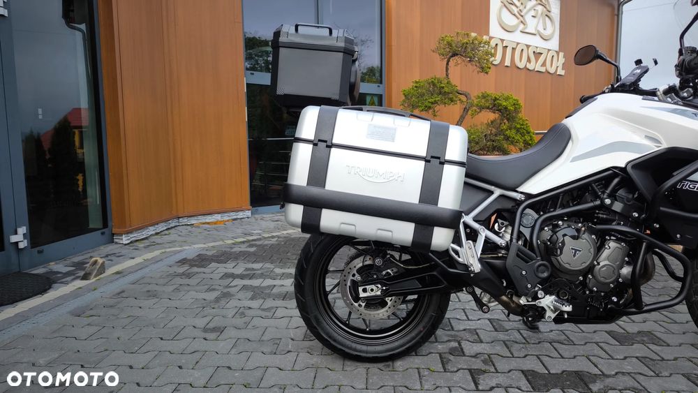 Triumph Tiger - 19