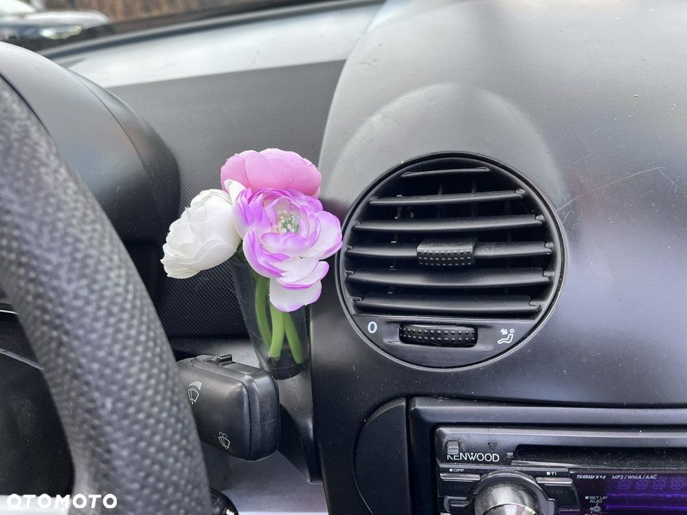 Volkswagen New Beetle - 14