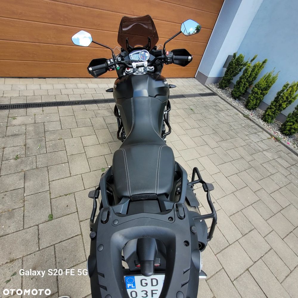 Triumph Tiger - 9