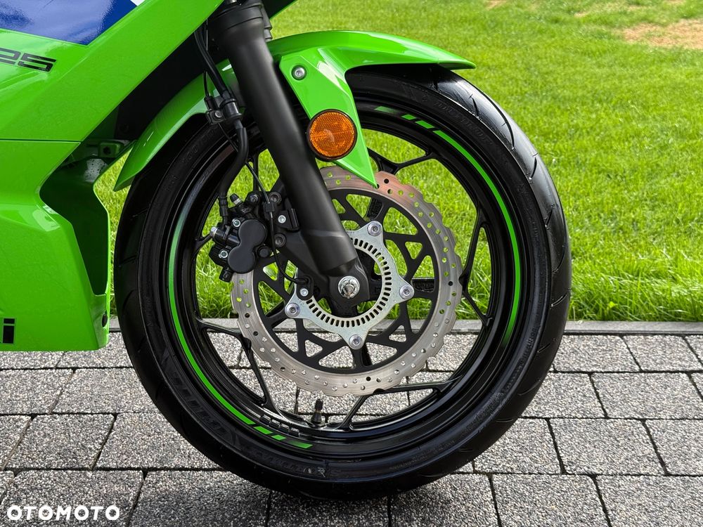 Kawasaki Ninja - 10