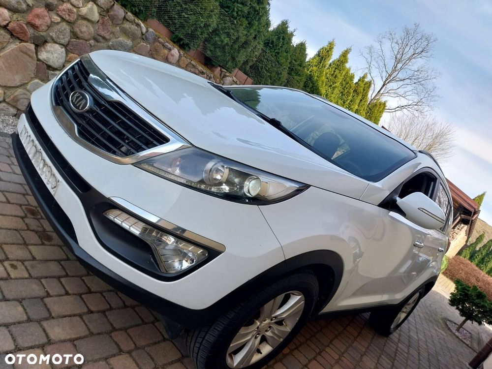 Kia Sportage - 25