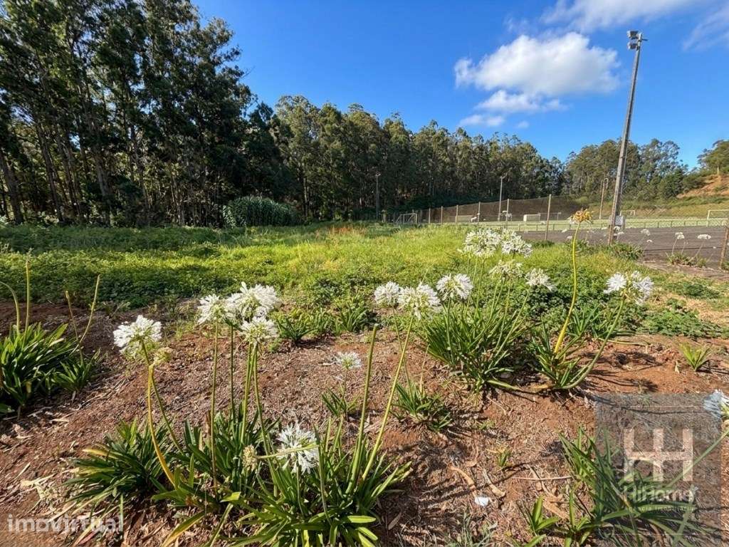 Terreno de 1.500 m² na Santa, Porto Moniz - Grande imagem: 2/3