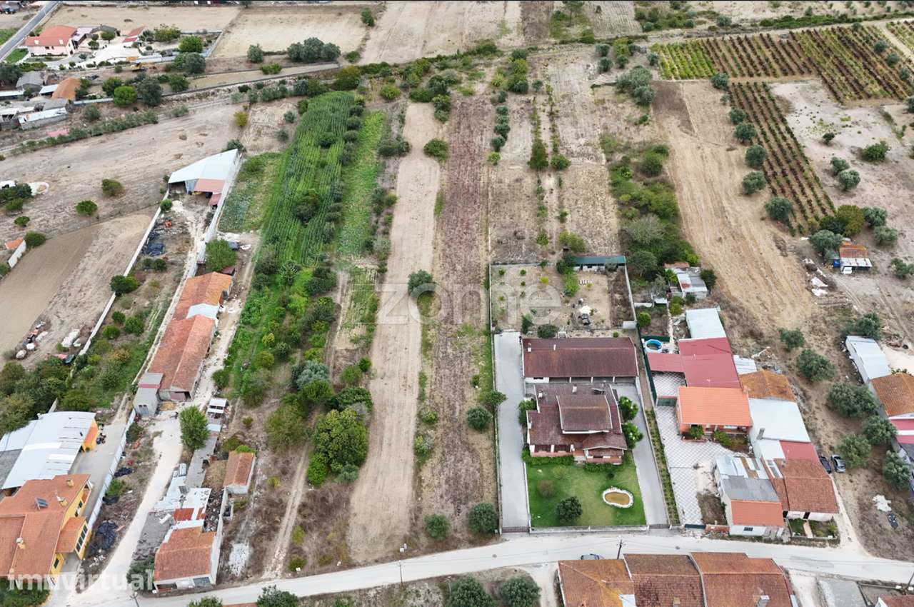 Terreno Cadima - Grande imagem: 5/12