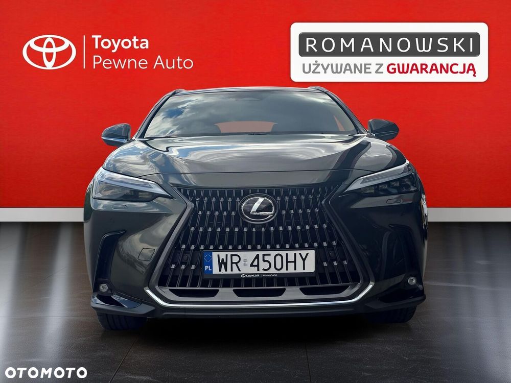 Lexus NX - 10