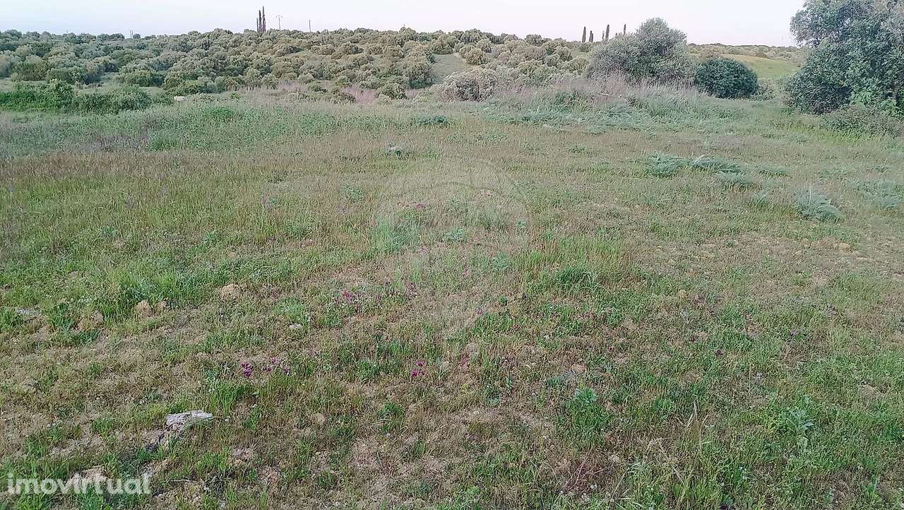 Terreno  para venda - Grande imagem: 4/5