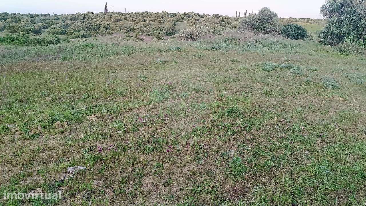Terreno  para venda - Grande imagem: 4/5