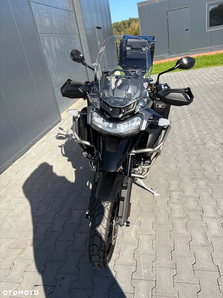Triumph Tiger - 9