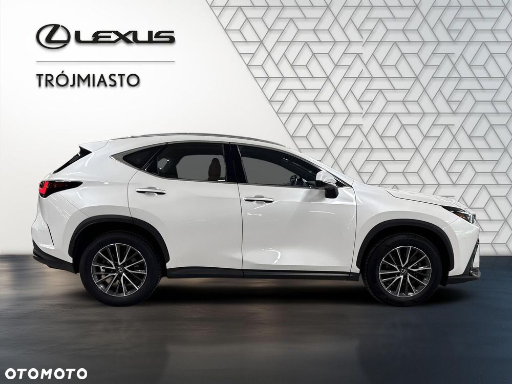 Lexus NX 350h Business AWD - 7
