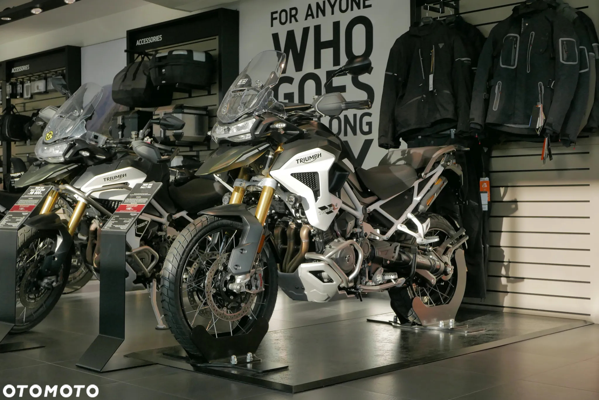 Triumph Tiger - 3