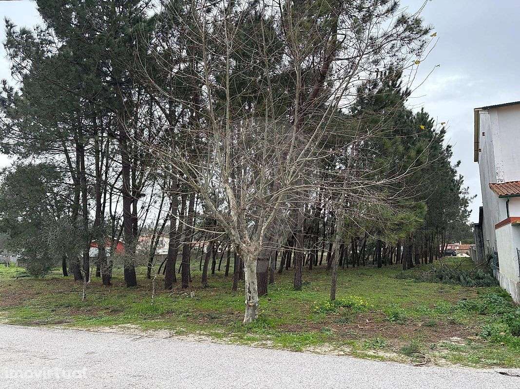 Terreno  para venda - Grande imagem: 2/10