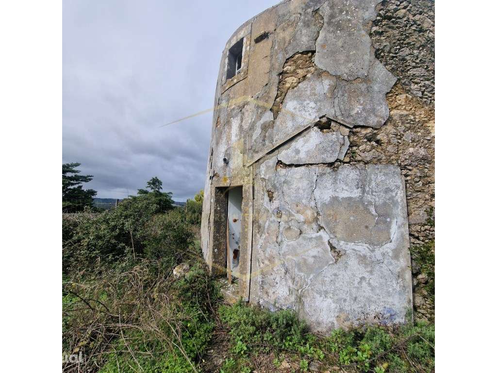 Moinho T1 - Grande imagem: 2/28