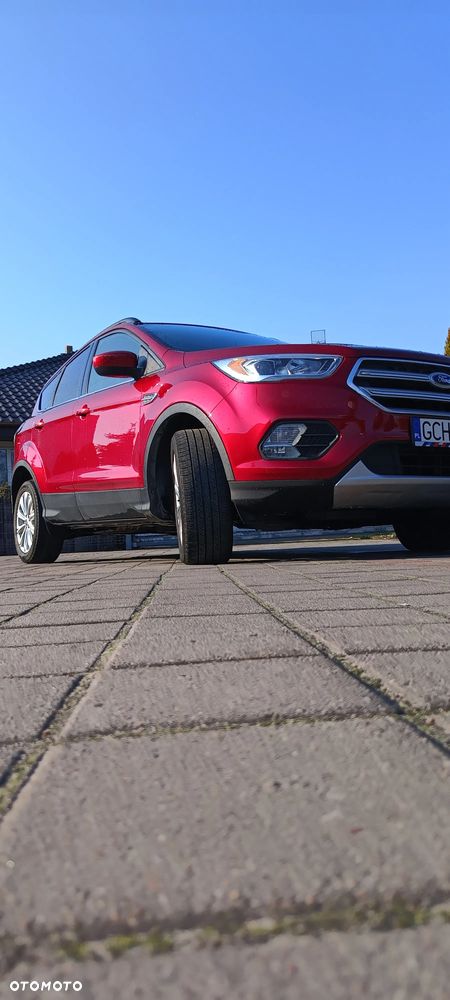Ford Escape - 15