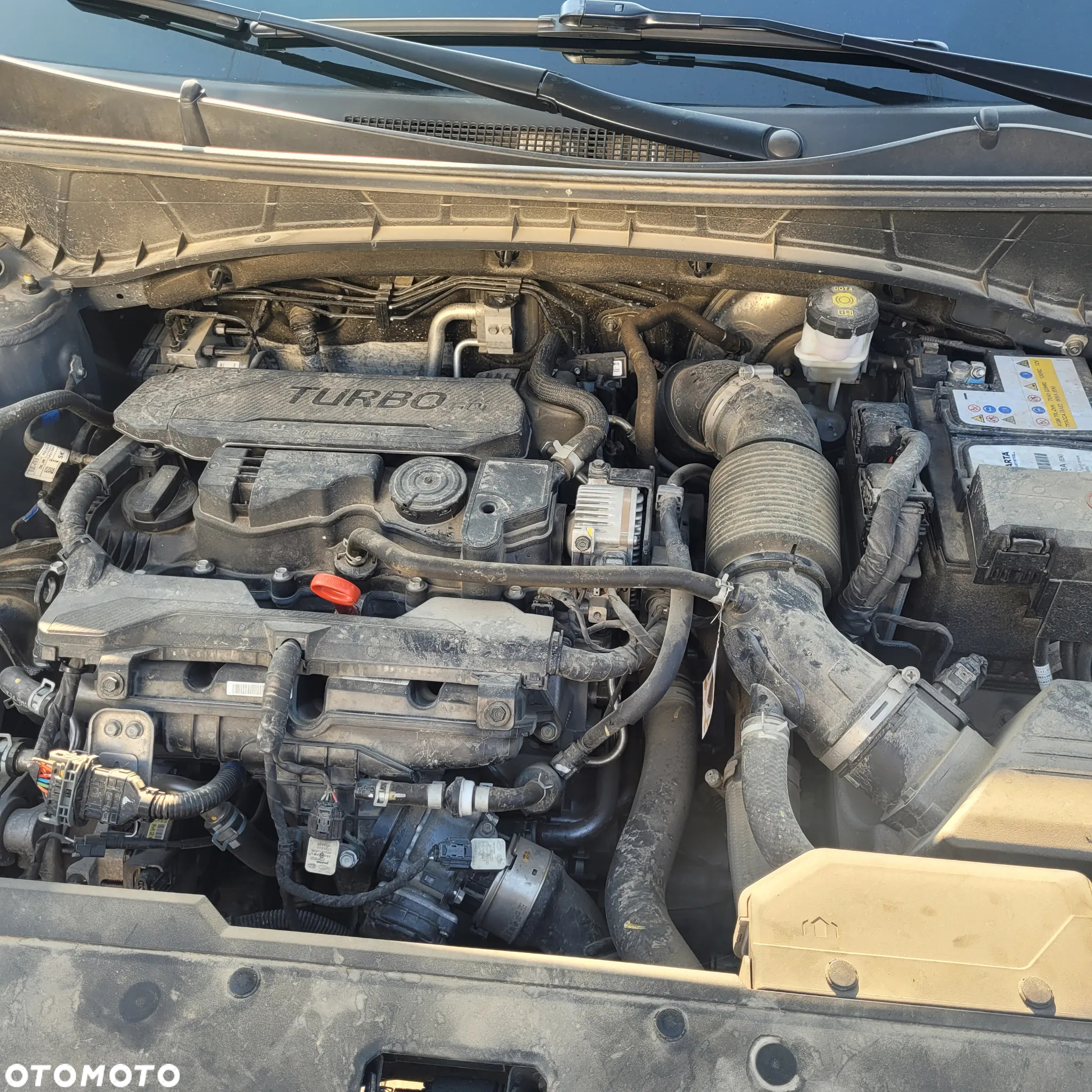 Hyundai Tucson 1.6 T-GDi Executive N Line 2WD - 8