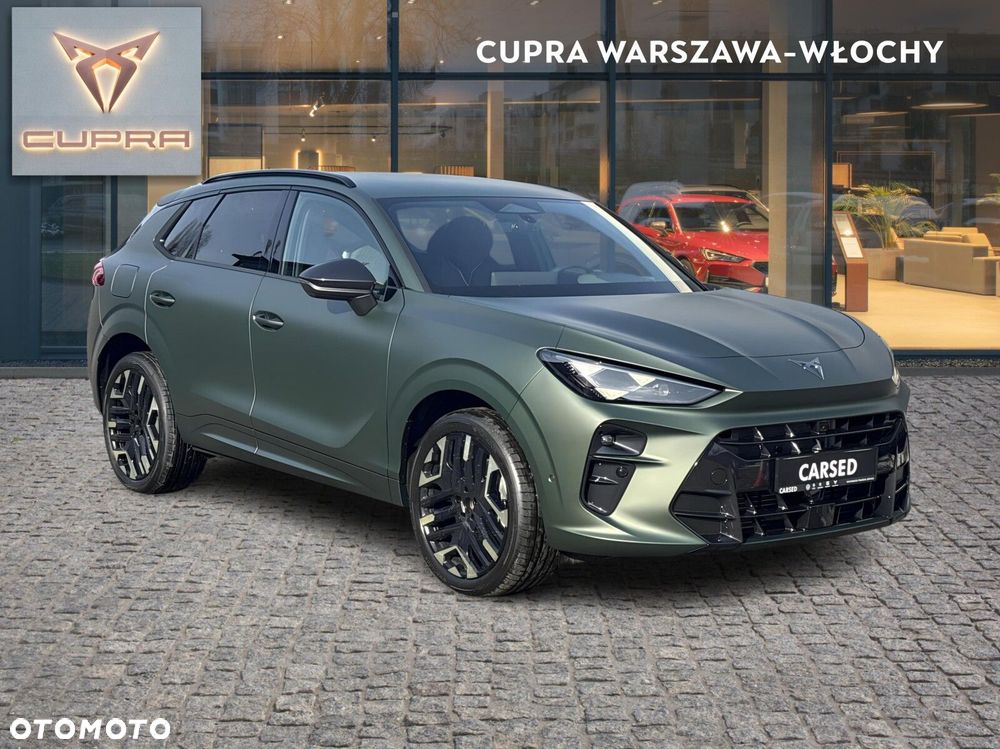 Cupra Terramar 2.0 TSI 4Drive Tribe Edition DSG - 8