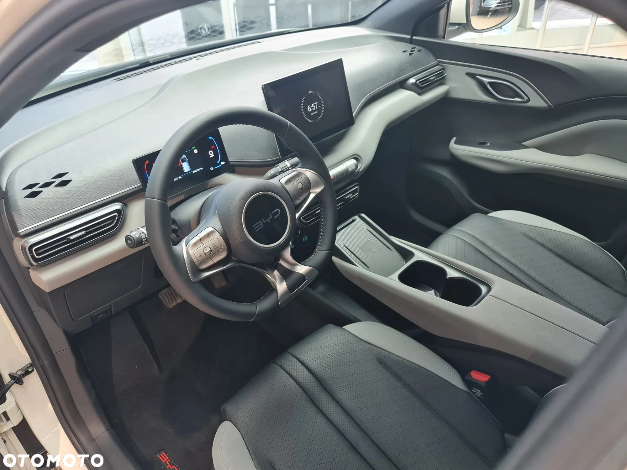 BYD Dolphin Surf - 11