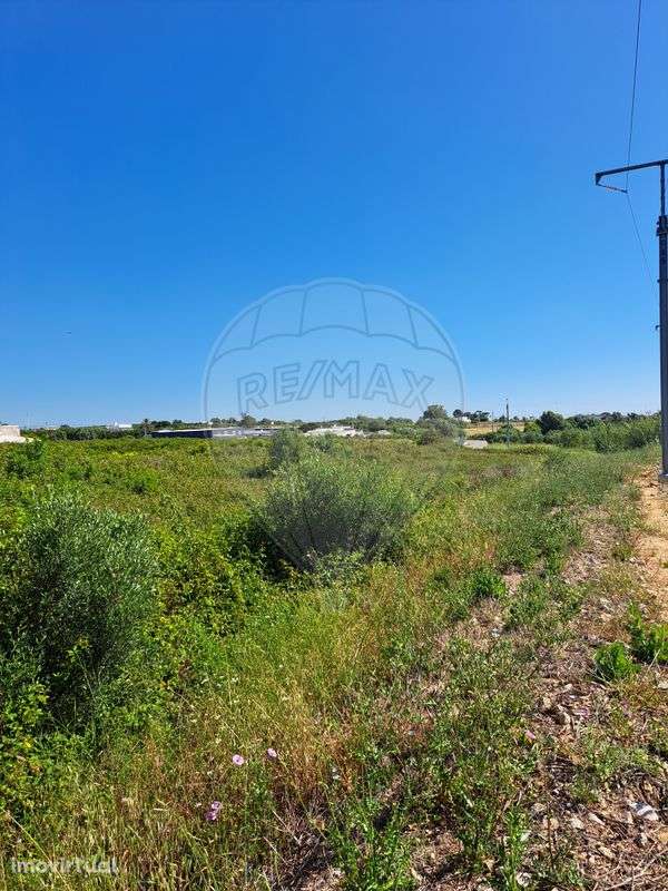 Terreno  para venda - Grande imagem: 2/7