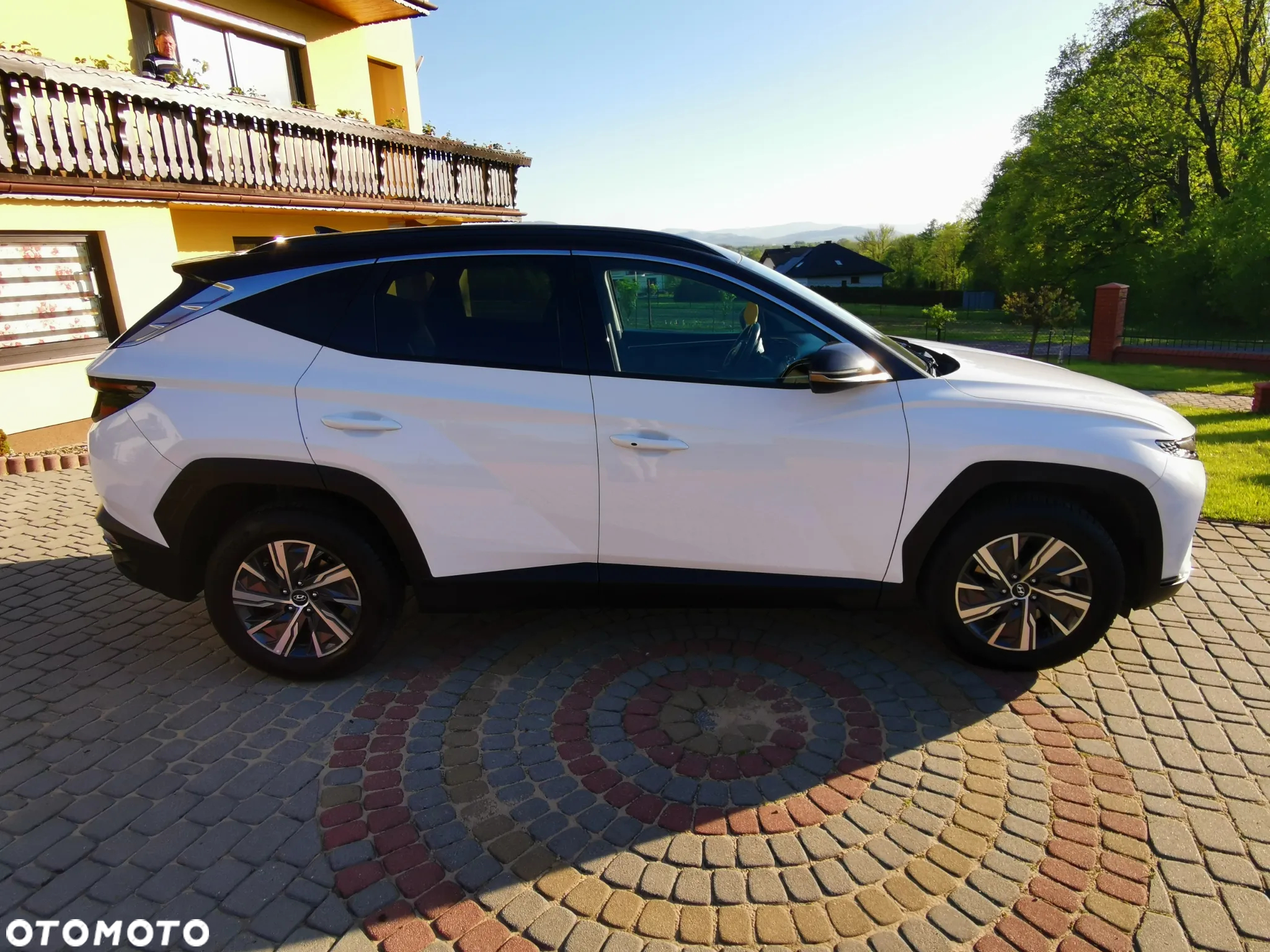 Hyundai Tucson 1.6 T-GDi HEV Executive 2WD - 2
