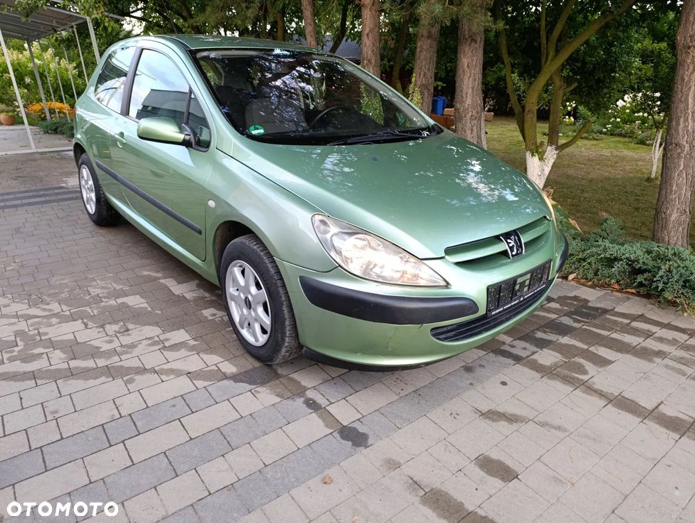Peugeot 307 110 Grand Filou - 19