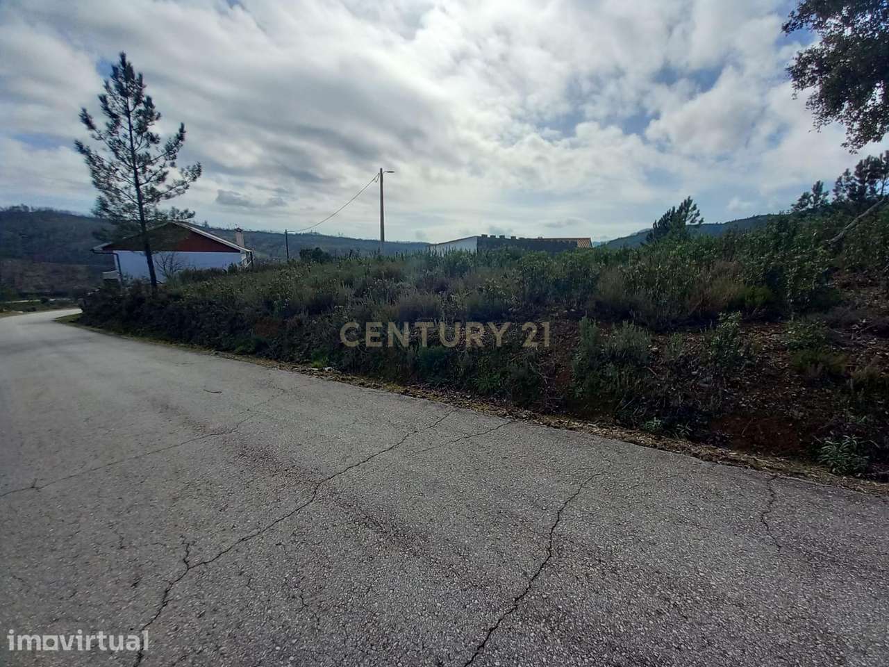 Terreno Rustico com 700m2 com Viabilidade de Construção em Cerejeira-A - Grande imagem: 5/13