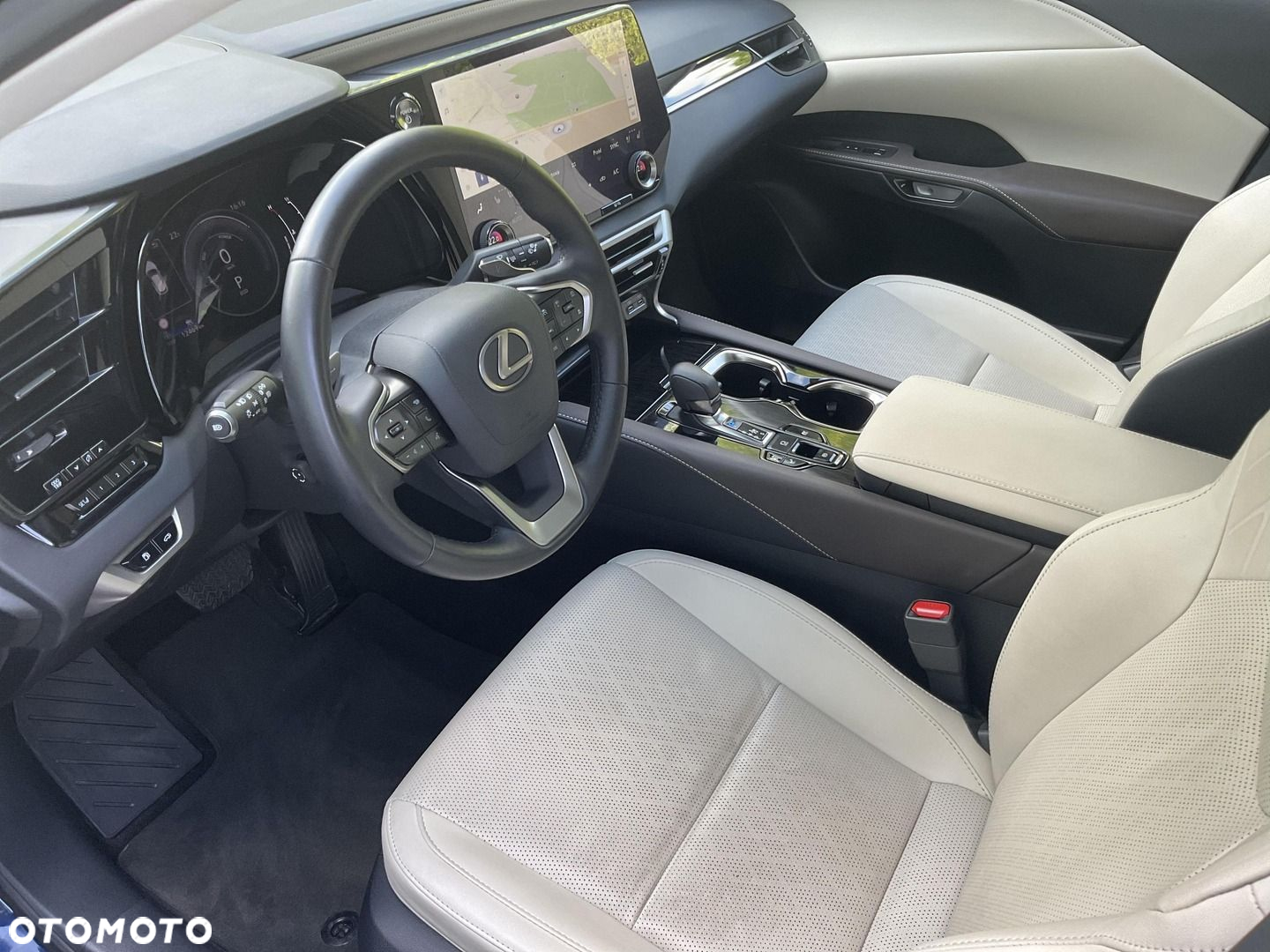 Lexus RX - 12