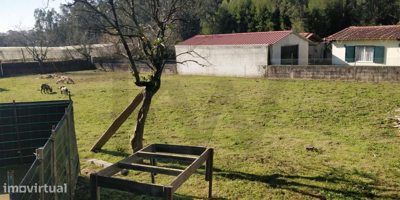 Terreno urbano -São Vicente Pereira - Grande imagem: 2/7