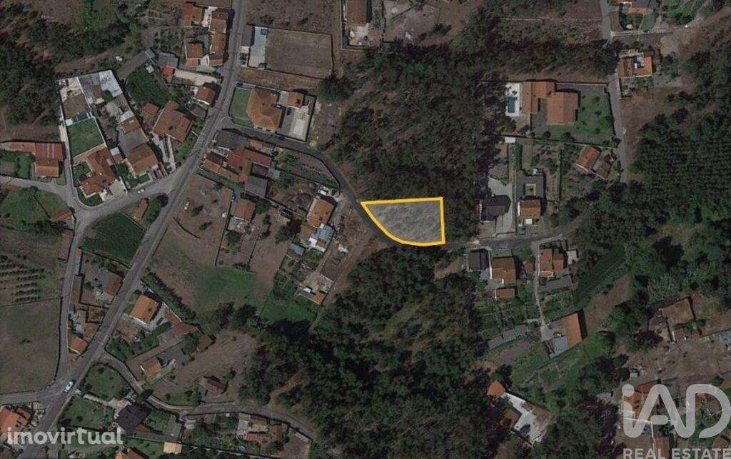 Terreno Agrícola em Marinha Grande - Grande imagem: 4/14