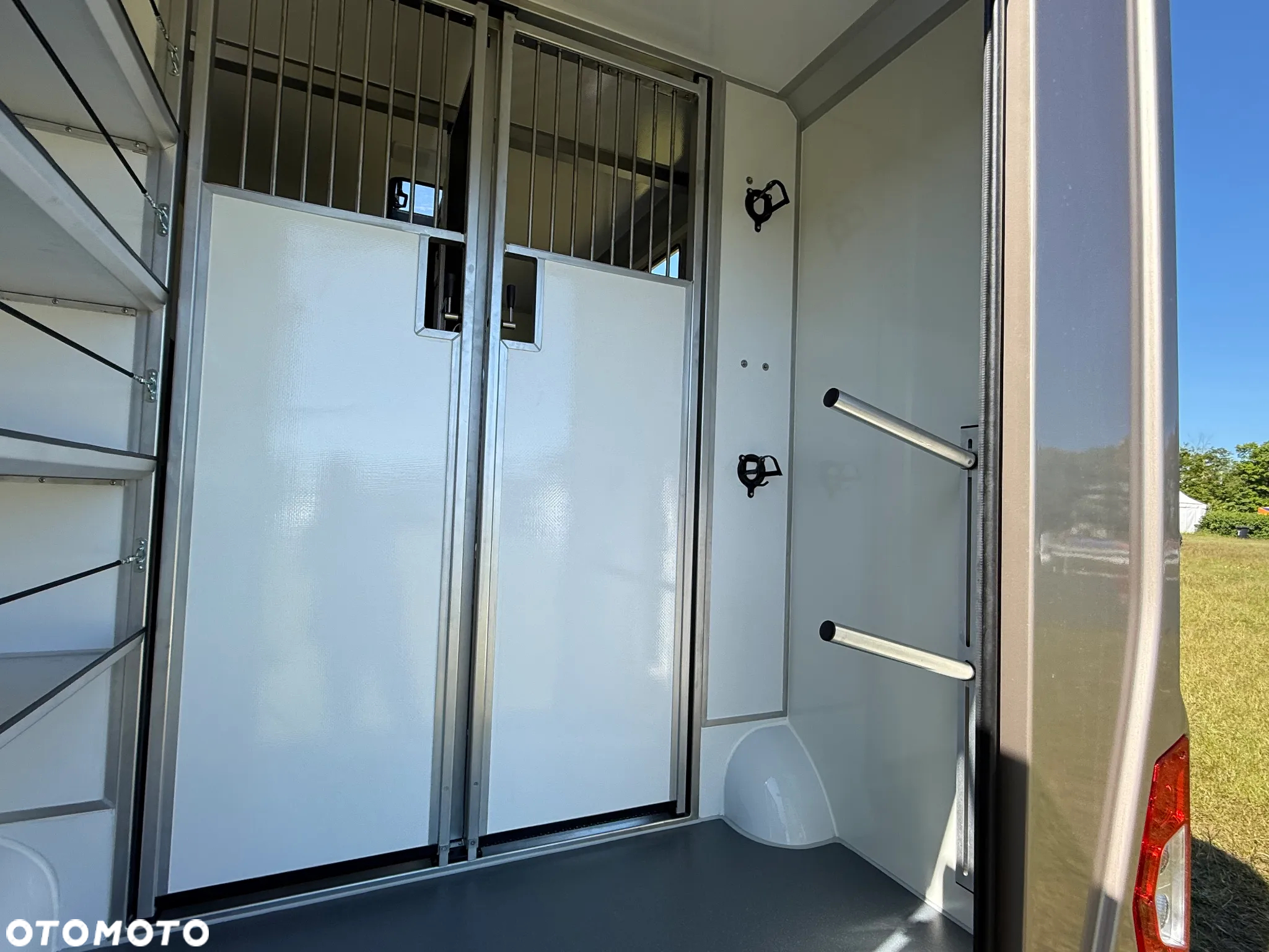 Ford Transit - 19