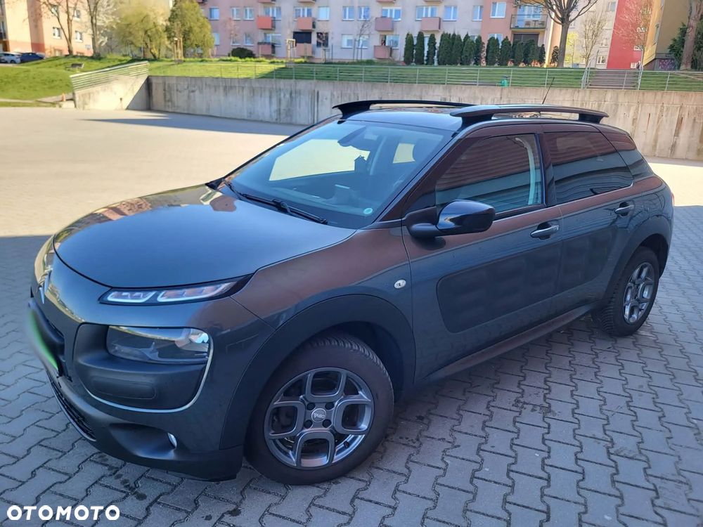 Citroën C4 Cactus - 14