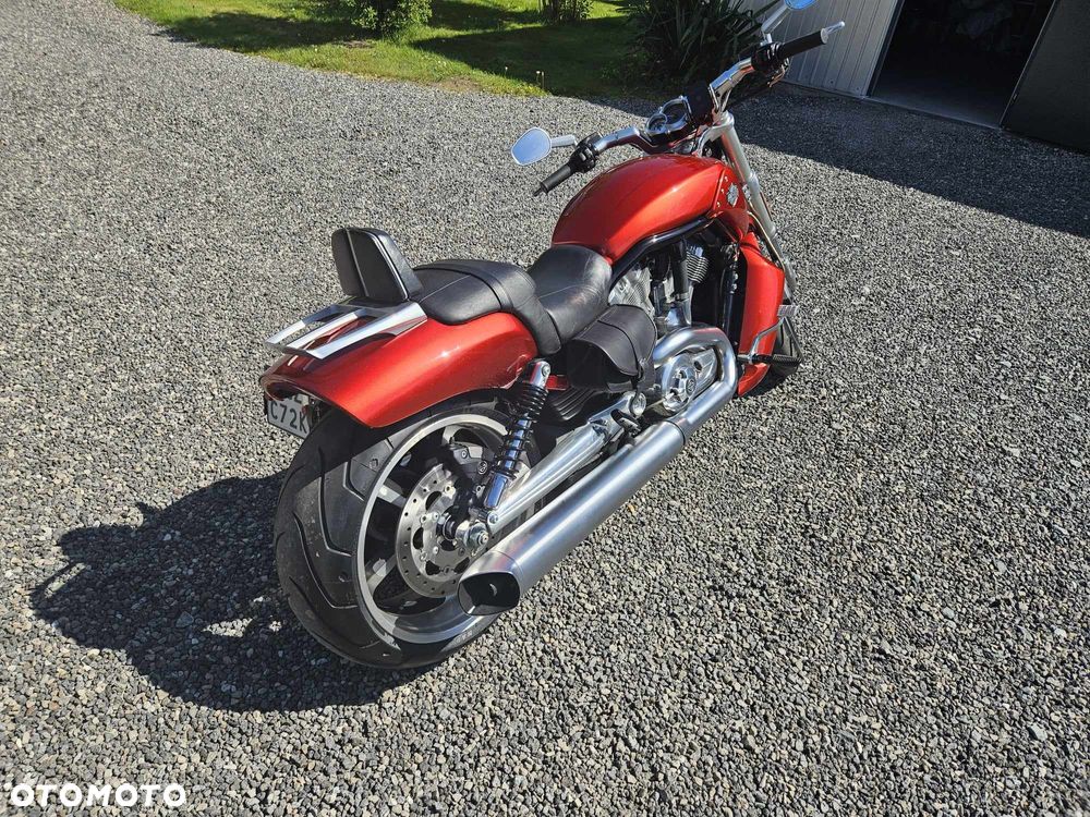Harley-Davidson V-Rod Muscle - 6