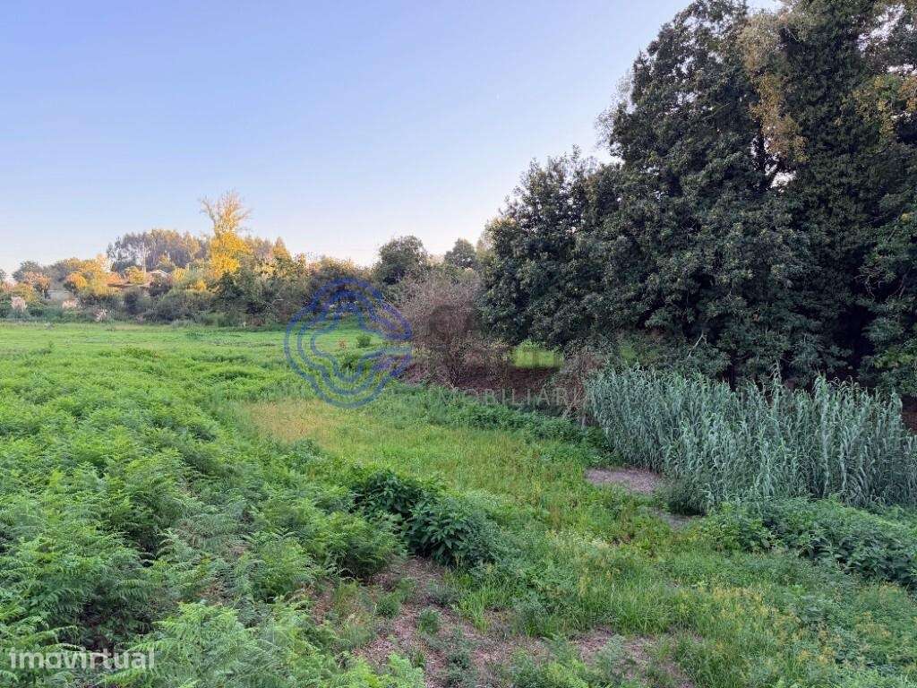 Terreno Plano com 4.000 m2 em Pedroso – Vila Nova de Gaia - Grande imagem: 4/5