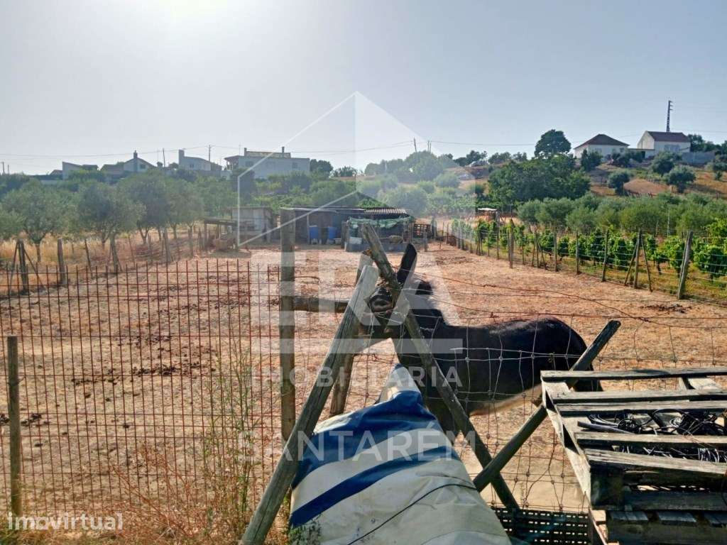 Terreno Rústico com 6.240 m² - Grande imagem: 2/13