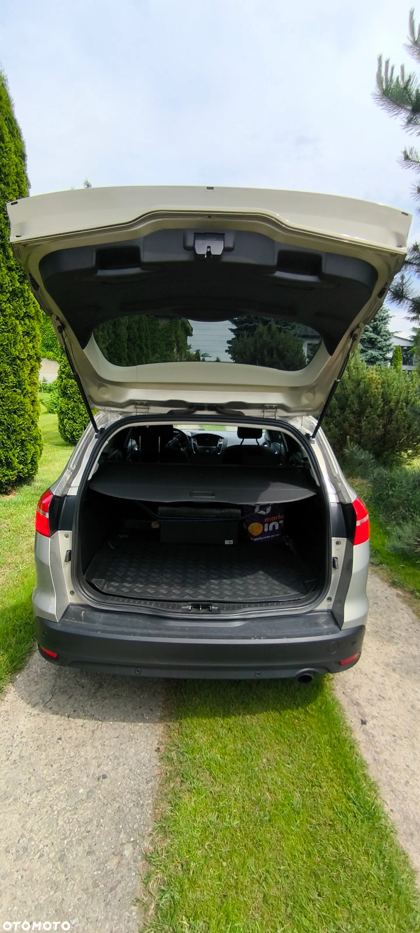 Ford Focus - 10
