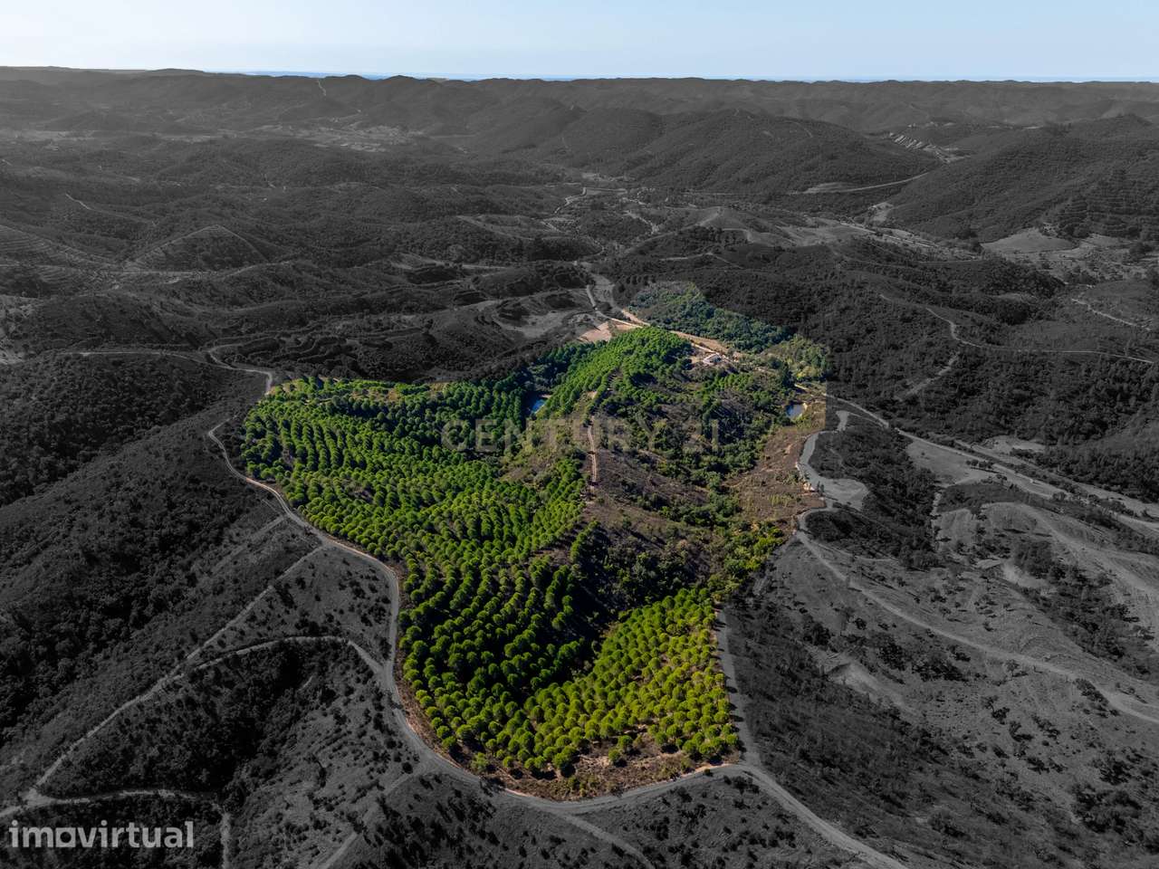 Monte com duas moradias e cerca de 20 hectares em São Marcos da Serra - Grande imagem: 2/18