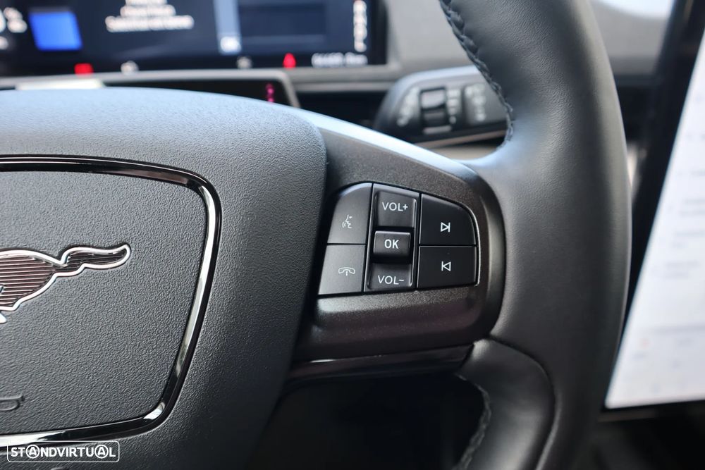 Ford Mustang Mach-E Standard - 34