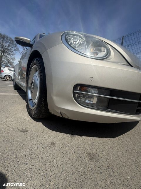 Volkswagen Beetle - 6