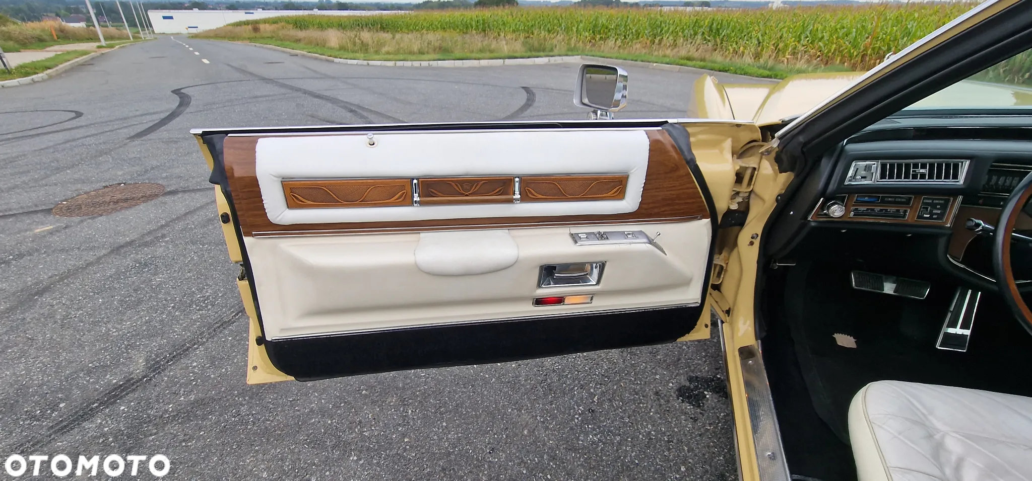 Cadillac Eldorado - 18