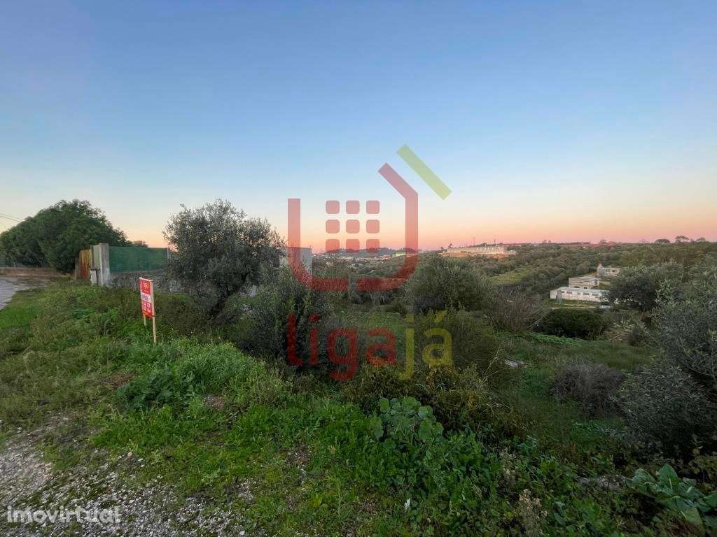 Terreno para construção! - Grande imagem: 4/4