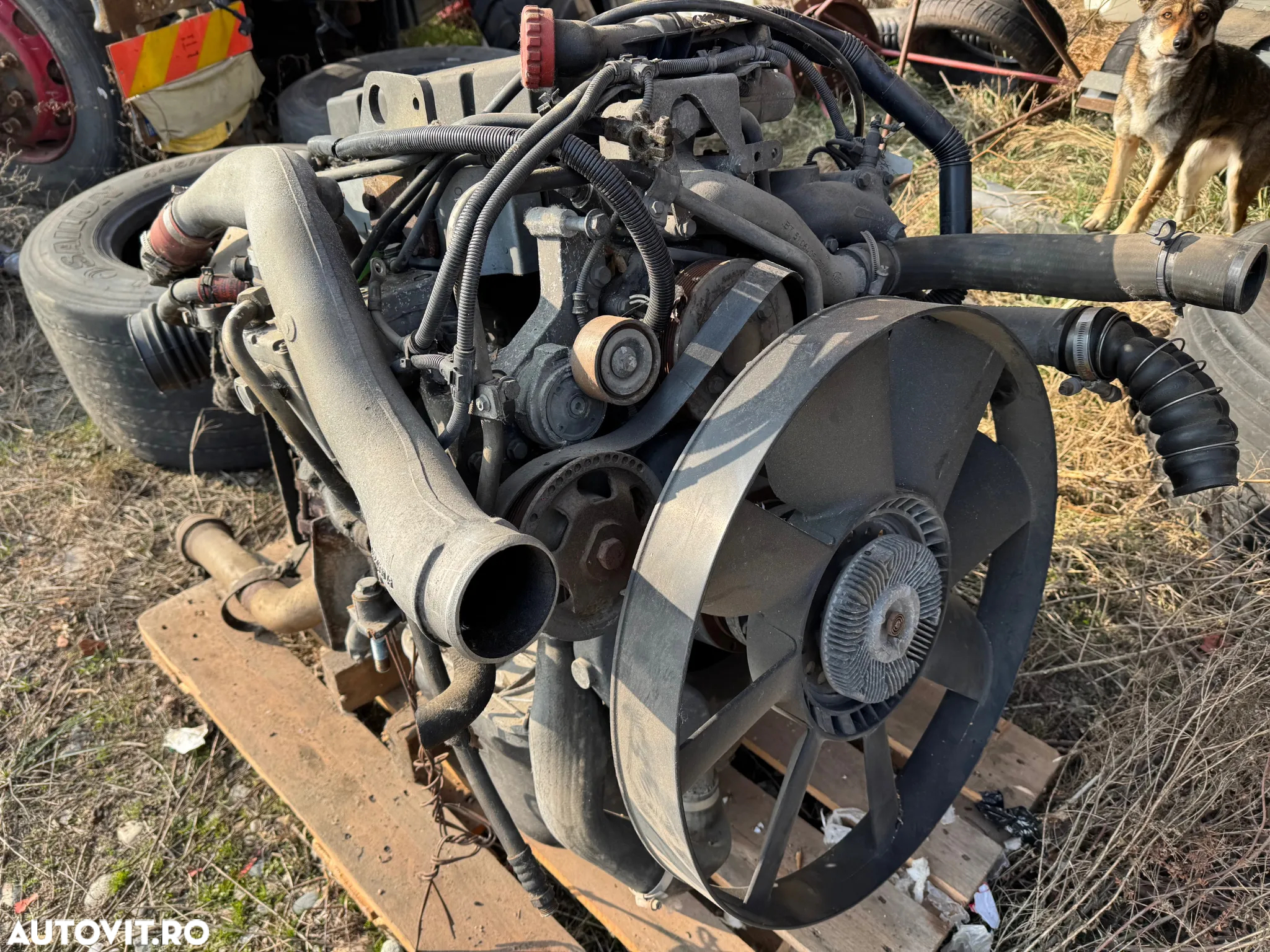 MOTOR MAN D0834 LFL41 pentru MAN TGL 4580 cmc 180 CP : DEZMEMBRARI - 5