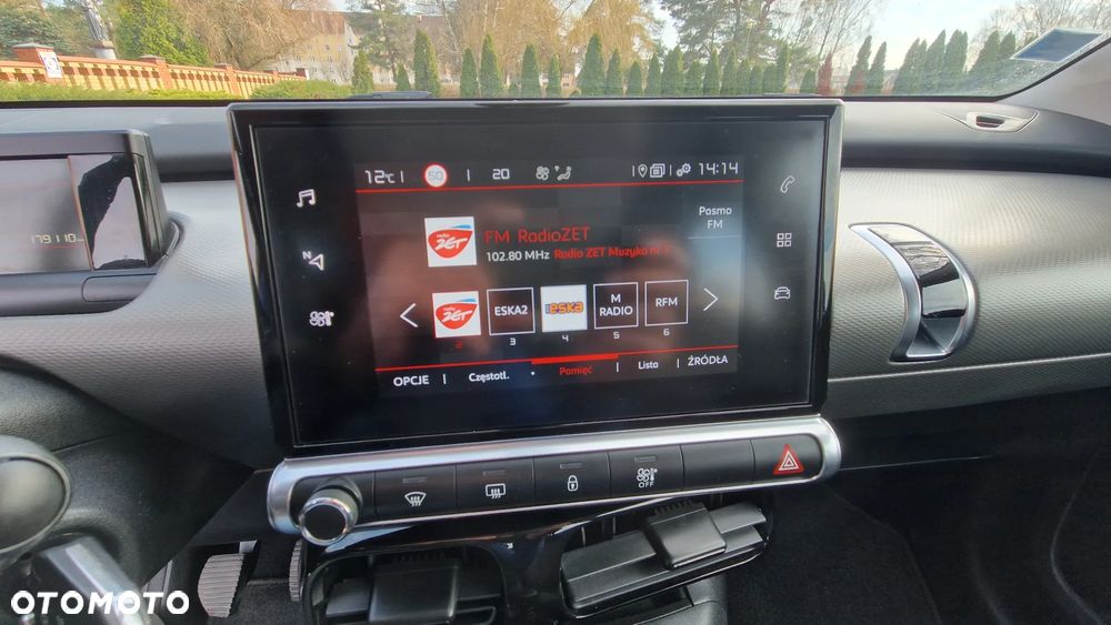 Citroën C4 Cactus 1.5 BlueHDi Shine - 19