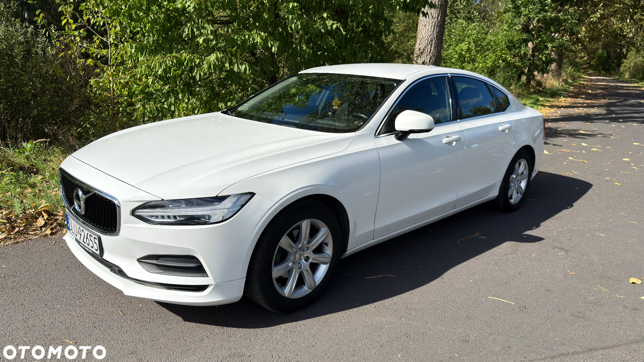 Volvo S90 D3 SCR Momentum - 6